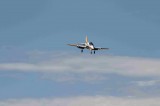 IMG 7343